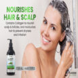 Shampoo _ Conditioner EBC_2 (1) (1)